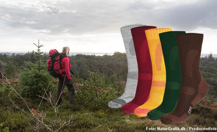 Test af vandresokker fra Danish Endurance