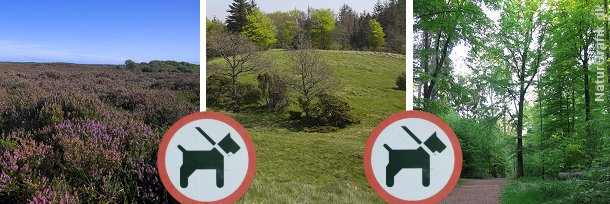 Ifølge naturbeskyttelsesloven skal hunde føres i snor i skov og udyrkede naturarealer som f.eks. heder, moser og enge.