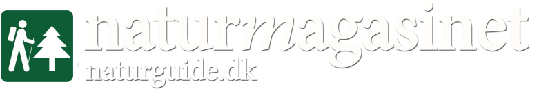 Naturguiden - Danmarks største online naturmagasin