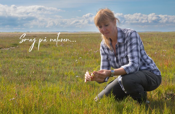 oplev-naturen Naturoplevelser og gode historier fra naturens verden