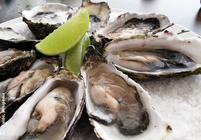 Stillehavsøsters kan bl.a. findes ved Vadehavet. Foto: Guido, Wikipedia.