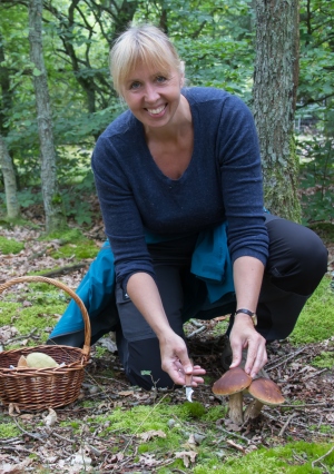 Klogere på svampe