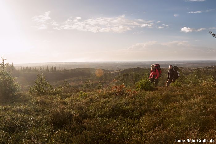 Test af Danish Endurance