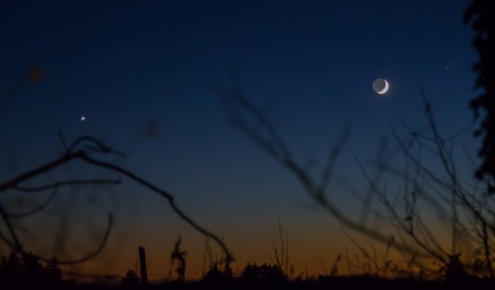 venus Venus